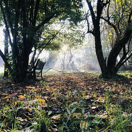 Maison L'or Du Temps Les Vignes Feriehus La Boissiere-de-Montaigu