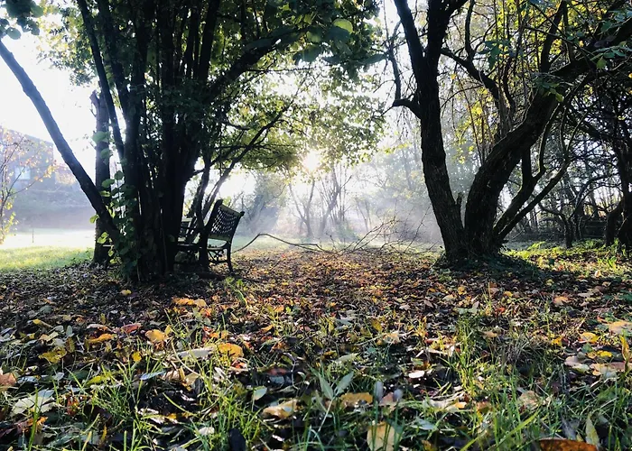 Maison L'or Du Temps Les Vignes Hébergement de vacances La Boissiere-de-Montaigu